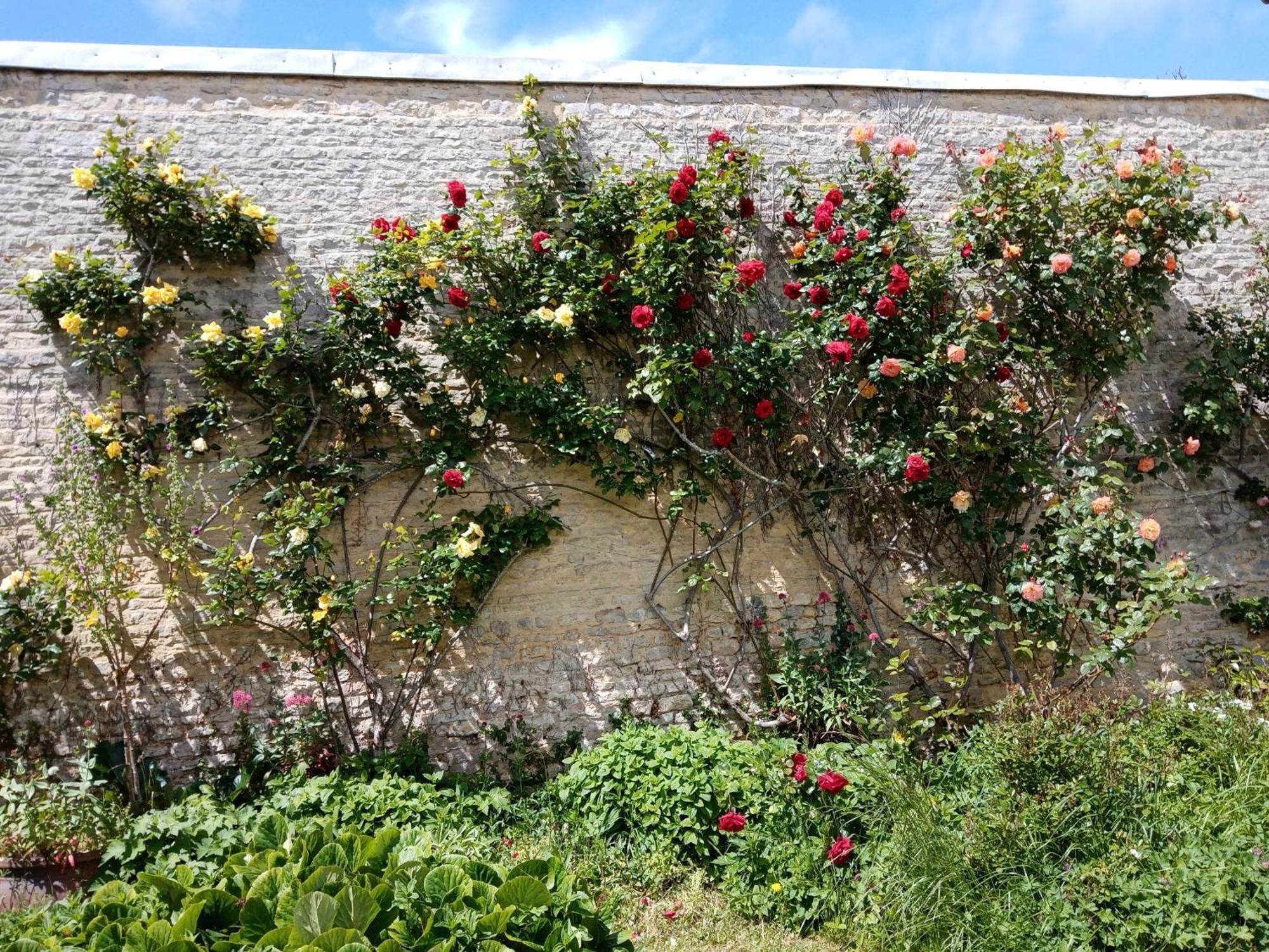 Rose Garden Bayeux Bed and Breakfast Εξωτερικό φωτογραφία
