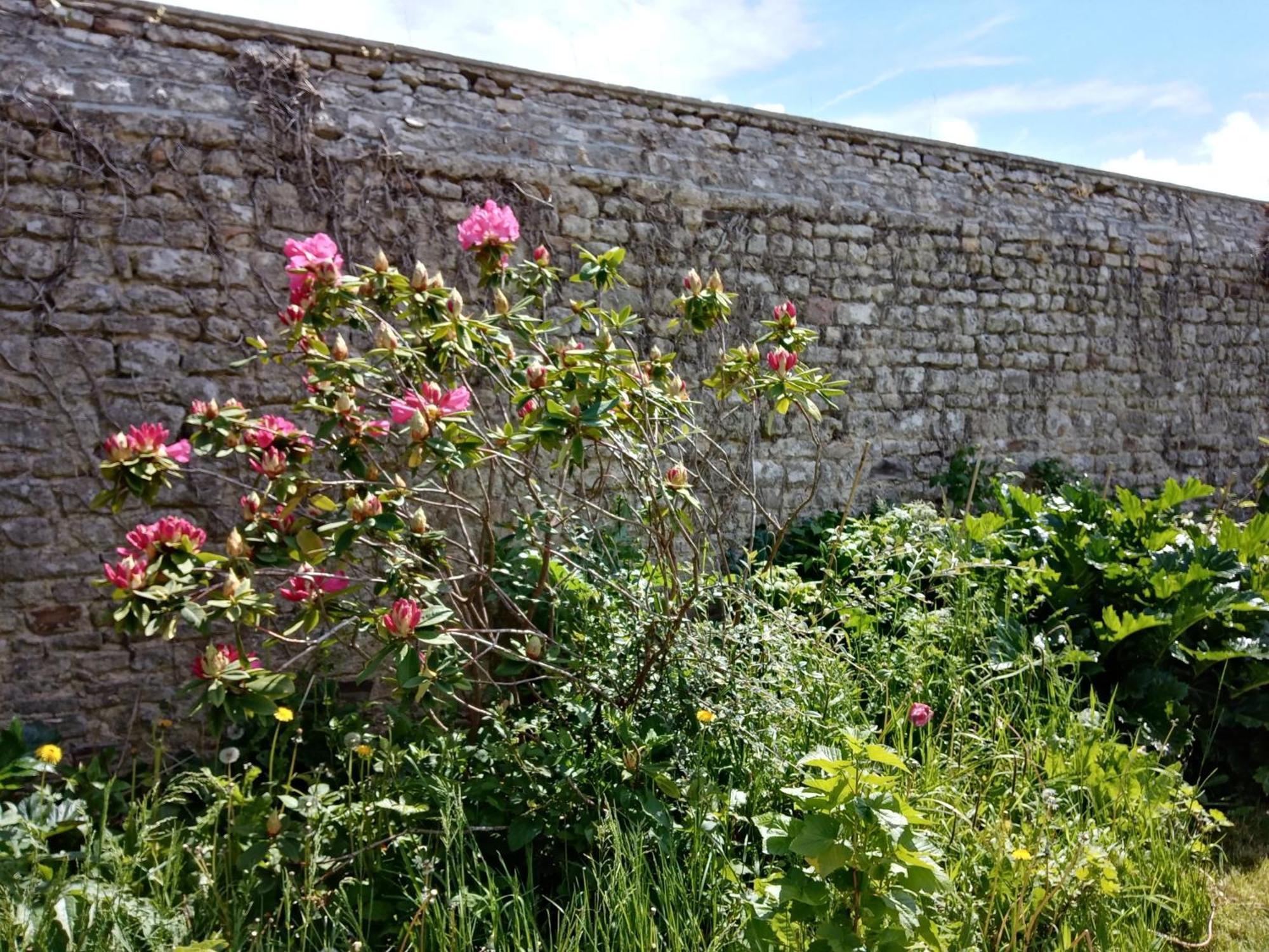 Rose Garden Bayeux Bed and Breakfast Εξωτερικό φωτογραφία