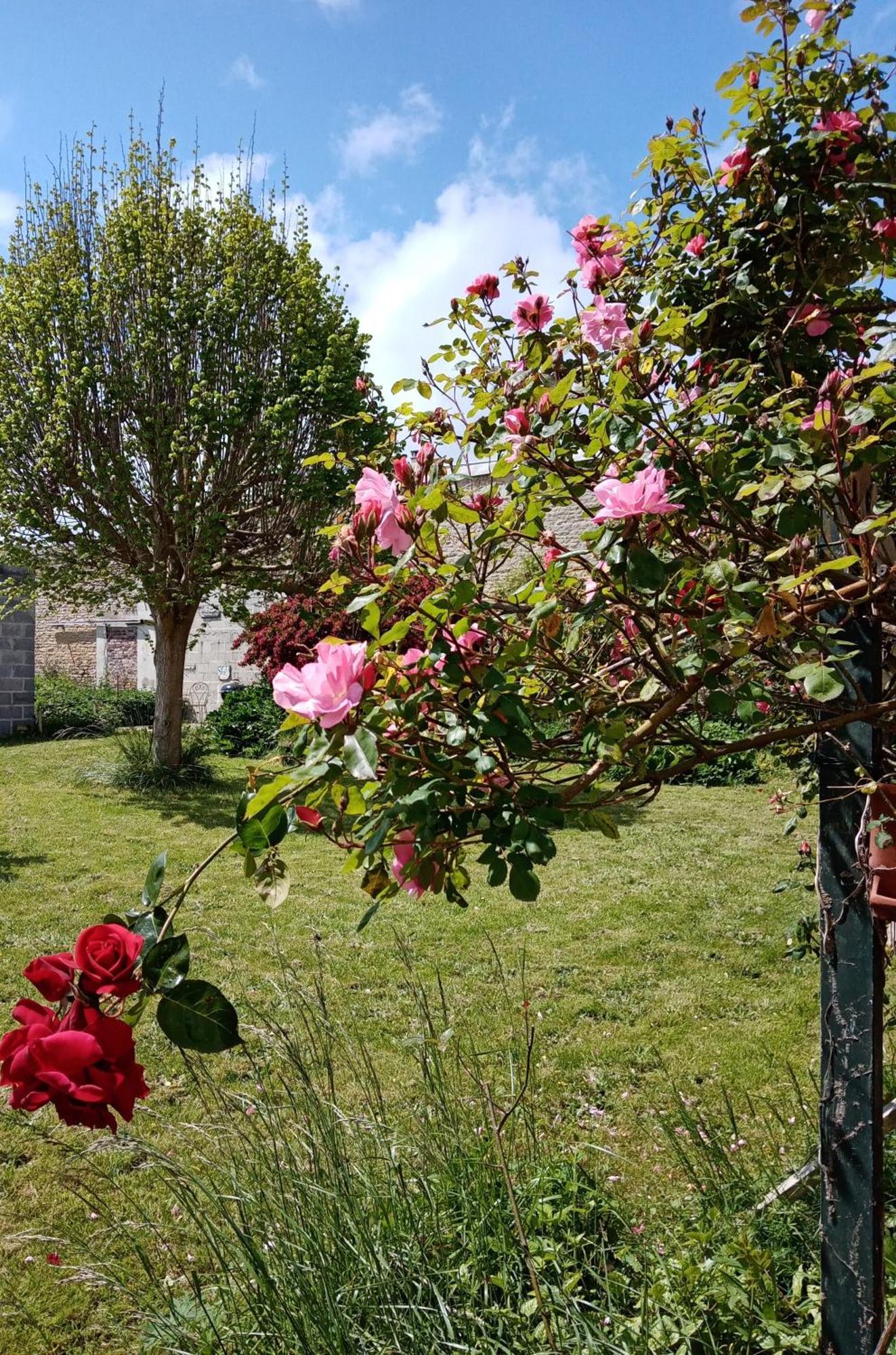 Rose Garden Bayeux Bed and Breakfast Εξωτερικό φωτογραφία